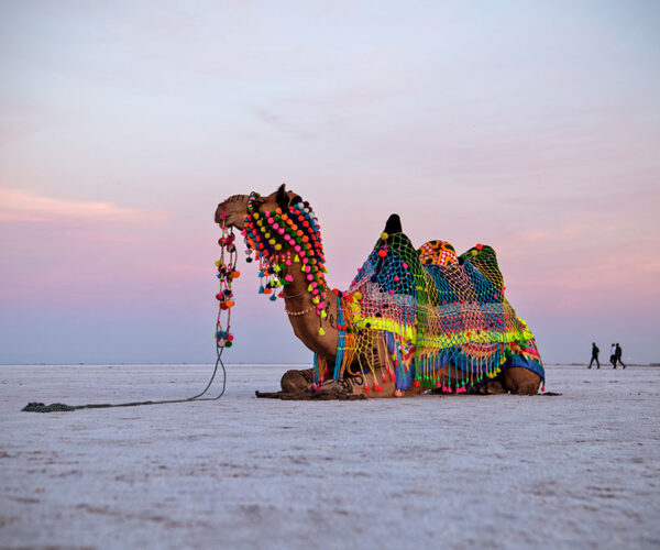 Rann of Kutch