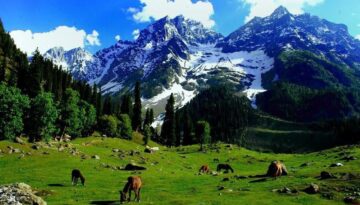 Beauty-of-Kashmir