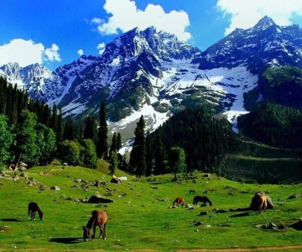 Beauty-of-Kashmir