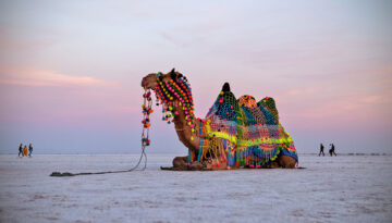 Great Rann Of Kutch (14)