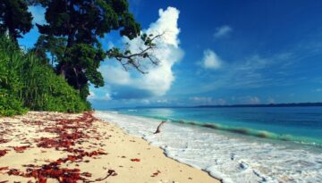 havelock-island-andaman