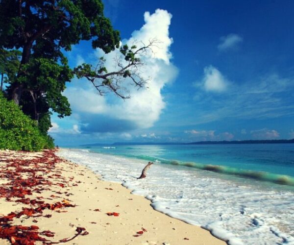 havelock-island-andaman