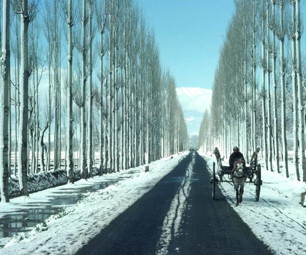 Winter Kashmir