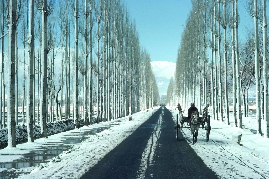 Winter Kashmir